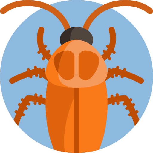 Cockroach          