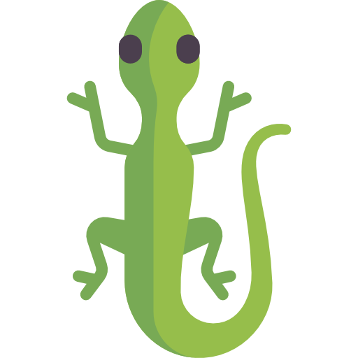 Lizard          