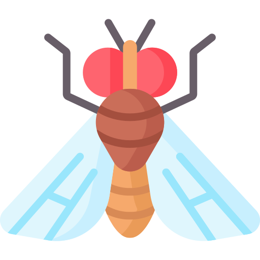 Flies          