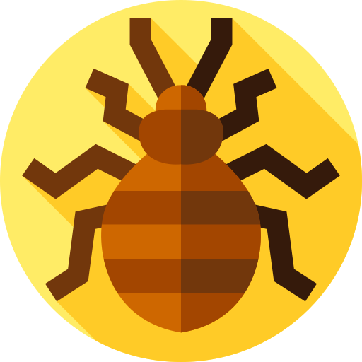 Bed bug              