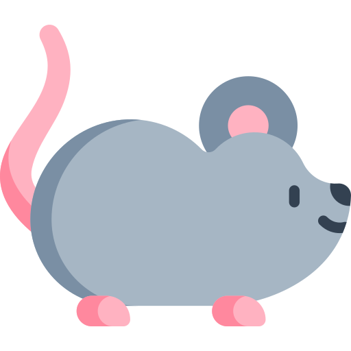 Mouse          