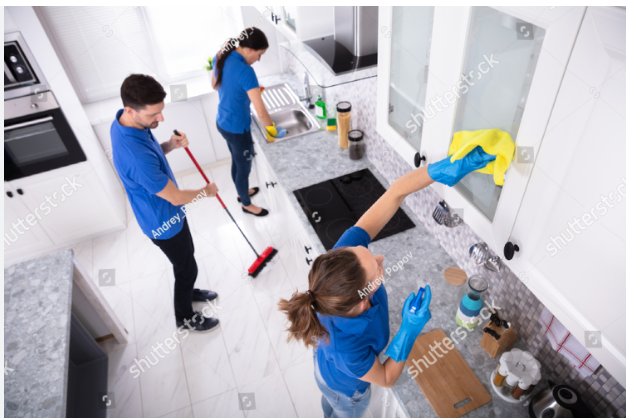 Normal / Basic Cleaning     