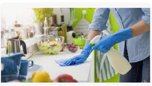 Cleaning-Others (Kitchen, Fridge, Microwave, Balcony etc)      