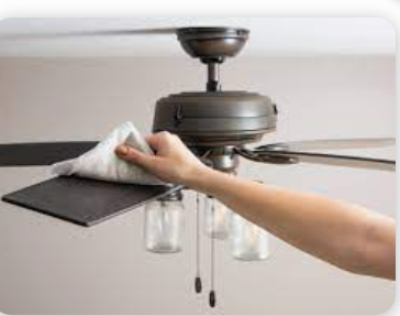Fan Cleaning